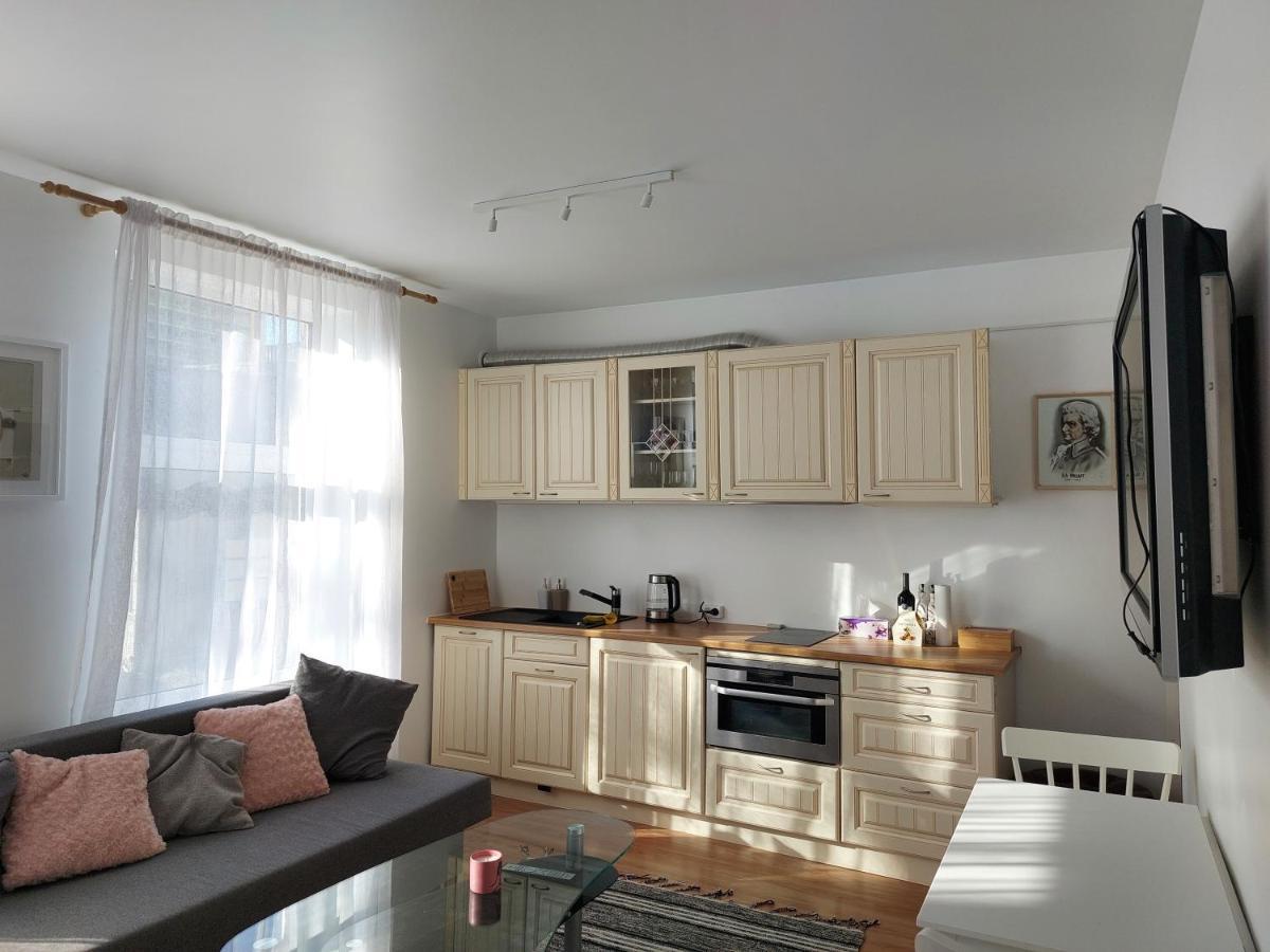 Kesklinna Peatuspaik Leilighet Tallinn